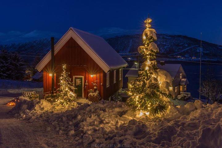 Kraemarvika Lodge トロムソ エクステリア 写真