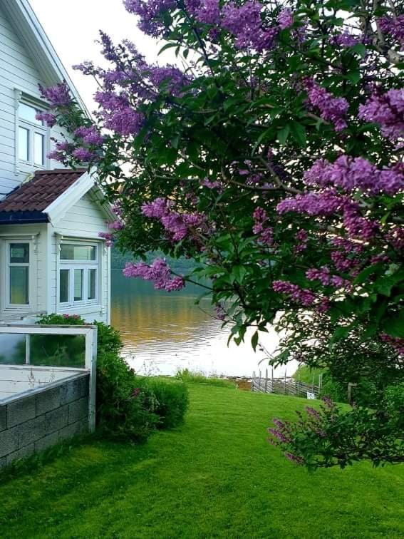 Kraemarvika Lodge トロムソ エクステリア 写真