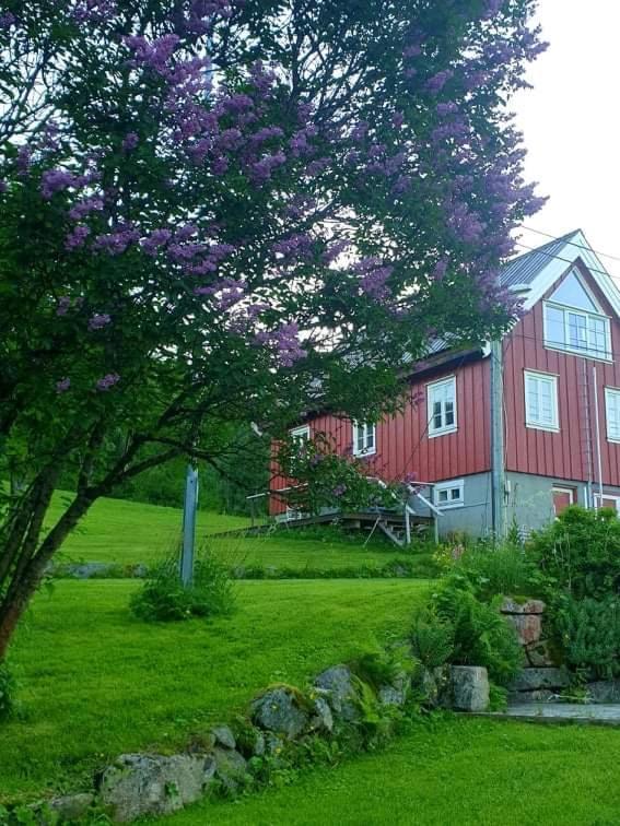 Kraemarvika Lodge トロムソ エクステリア 写真